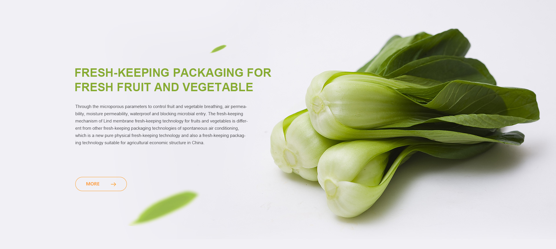 Fresh-keeping packaging for fresh fruit and vegetable
