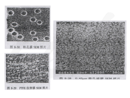 Introduction to nuclear pore membrane