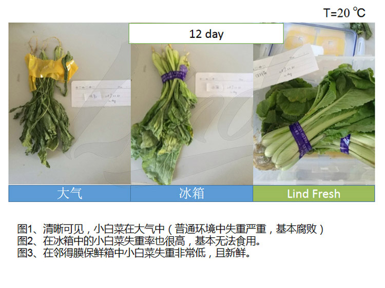 邻得膜生鲜果蔬自发气调保鲜包装技术详情换成这个_02.jpg